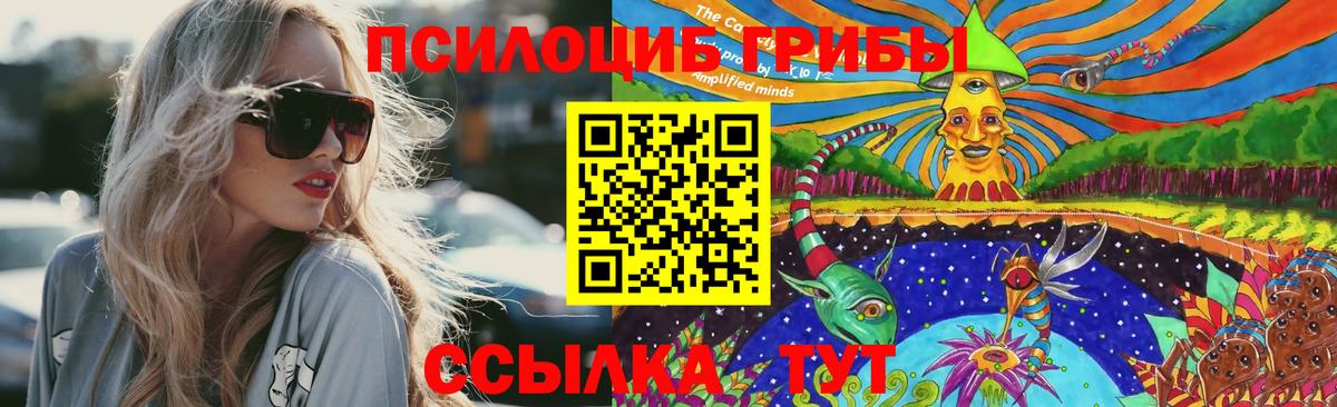 Воронеж  Галлюциногенные грибы ЛСД  Вход с VPN 